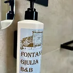 Fontana Giulia 홈스테이 *