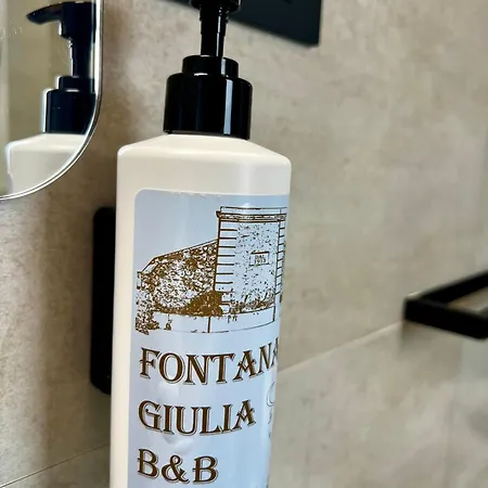Fontana Giulia 民宿 *